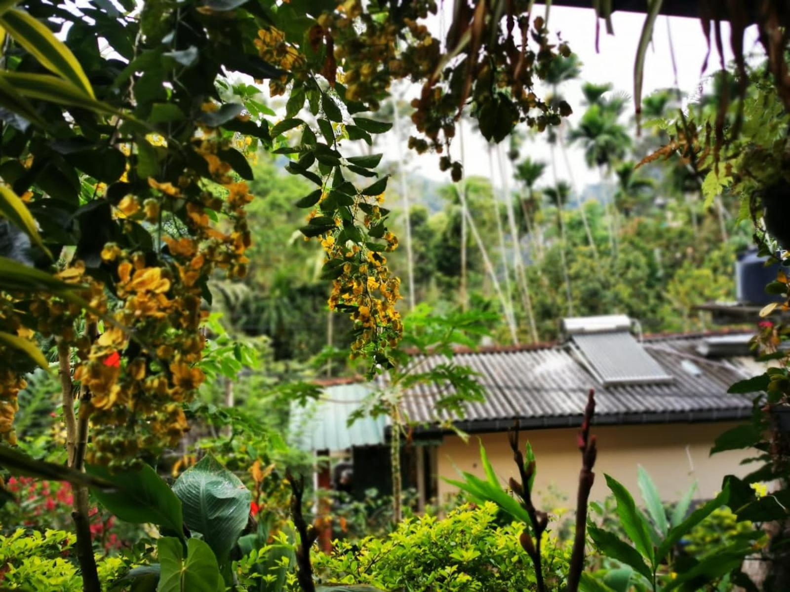 Cozy Homestay Waterfall Road Ella Exterior foto
