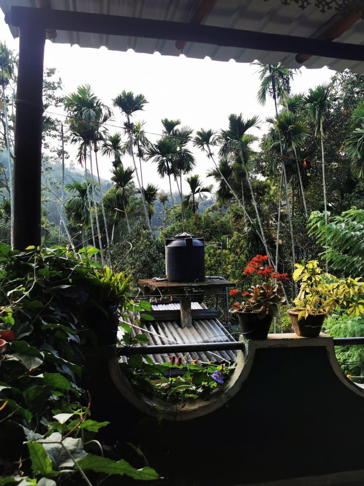 Cozy Homestay Waterfall Road Ella Exterior foto